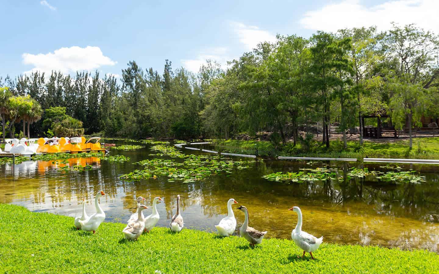 picnic en Miami