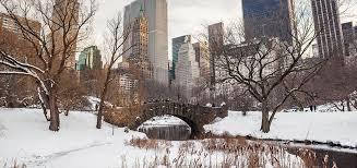 Puente nevado en Central Park con rascacielos al fondo durante el invierno en Nueva York