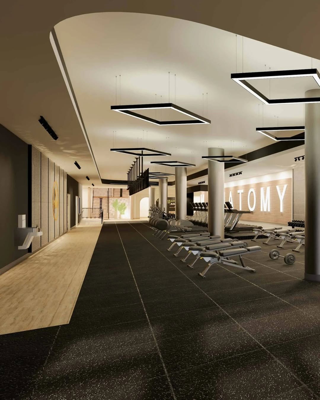 Anatomy Fitness Miami: Un Templo de Bienestar y Rendimiento