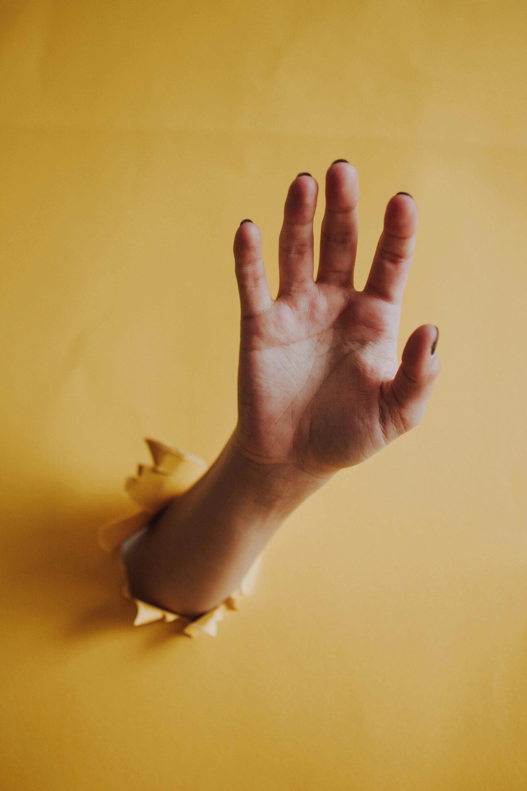 🛑 Límites que Nutren: Amor con Firmeza, Sin Culpa